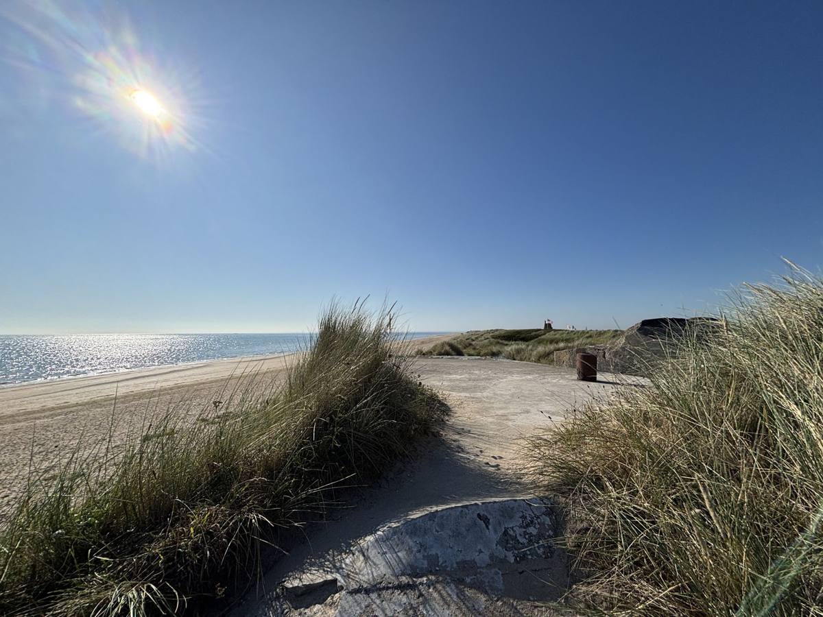 Sandy path through dune grass towards the sea under a bright sun