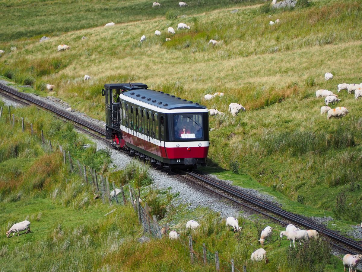 Snowdon Mountain Rail